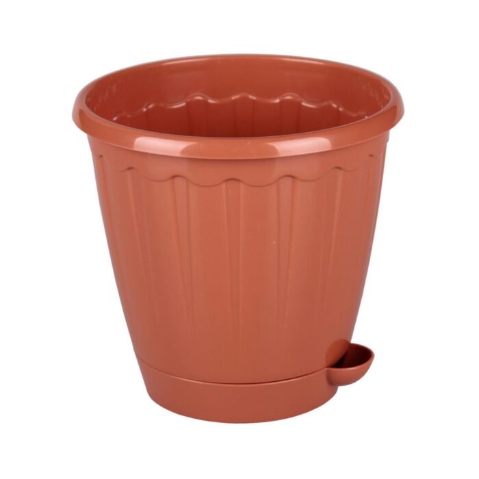 1 Liter.jpg