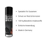 gusseisenpflegespray_hauptfoto_1500_1280x1280.jpg.jpg